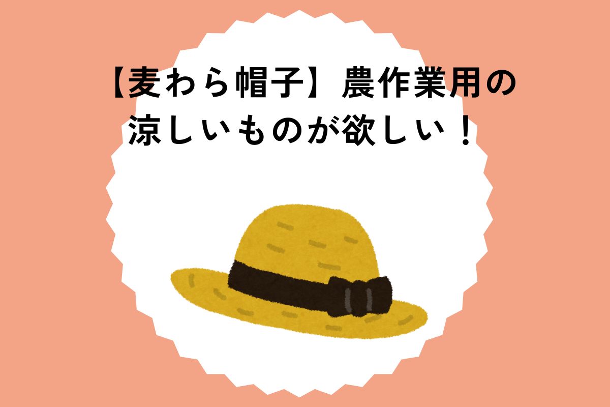 【麦わら帽子】農作業用の涼しいものが欲しい！おしゃれでかわいい帽子を紹介