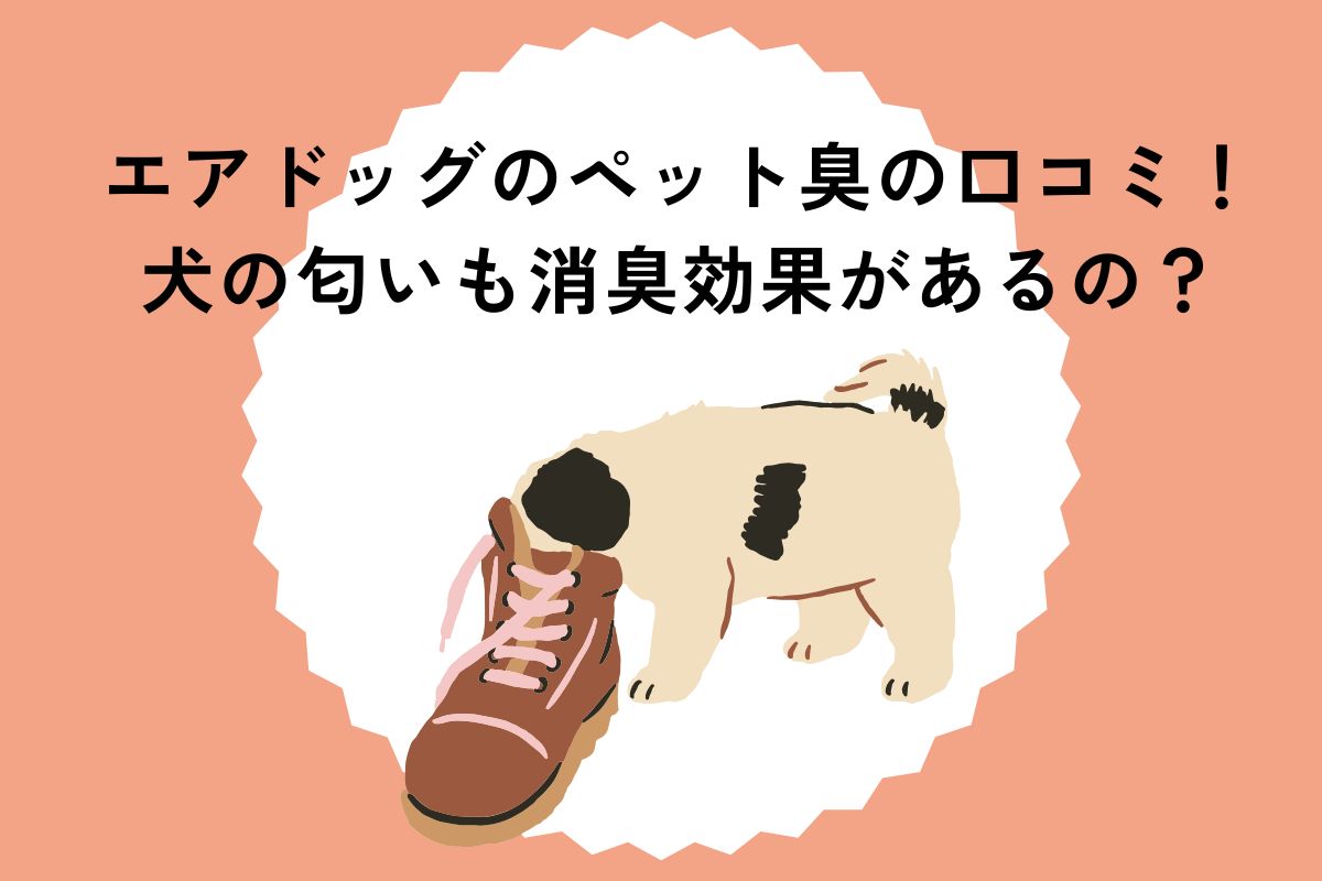 エアドッグのペット臭の口コミ！犬の匂いも消臭効果があるの？